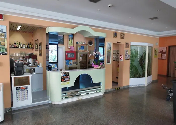 酒店 双子酒店 里米尼