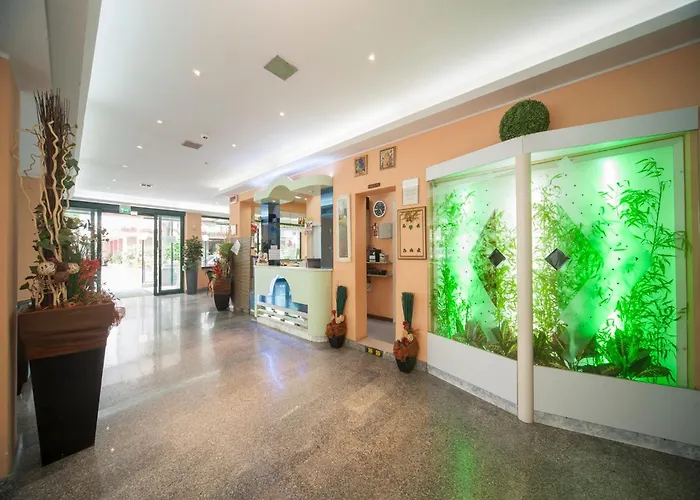 酒店 双子酒店 里米尼