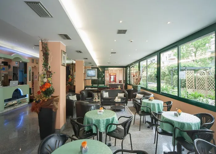 双子酒店 3* 里米尼